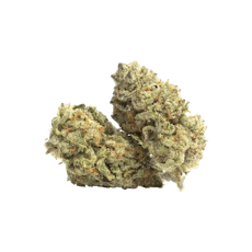 GLACIER | POP ROCKETZ | HYBRID | DELI-STYLE FLOWER | REC