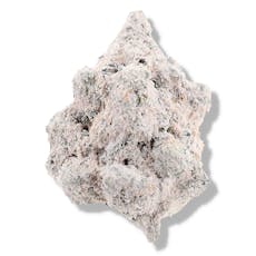 The Deli - Lemon Cherry Kush Snowcaps