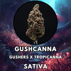 Flower - Gushcanna - Popcorn