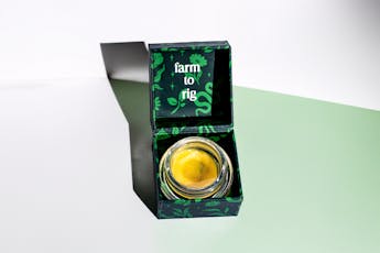 Eden | P.U.D.C. Cold Cure Live Rosin & Cold Snap Live Rosin Jam Thumbprint Jar | 1g