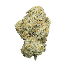 DR. JC's Exotics Runtz Buds