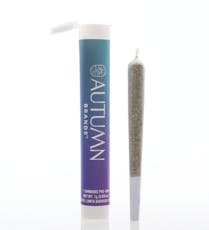 Autumn Brands - Purple Dump Truck (i) - Pre-roll - 1g