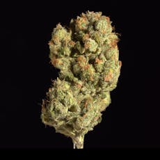 9lb Hammer - 1oz Top Shelf Flower