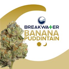 Banana Puddintain Premium Flower (3.5g)