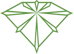 Magic Gumdrop - Hybrid - 2g B-Bud Bag