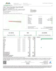 Tyson 2.0 Haymaker Haze (S) 1g Preroll C0070000401