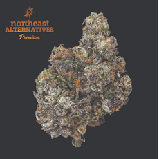 Sherb Cream Pie | 3.5g