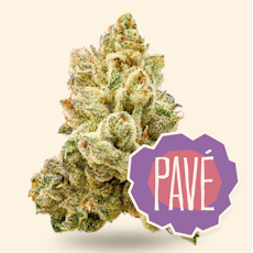 DC I Flower I Pave I 3.5g
