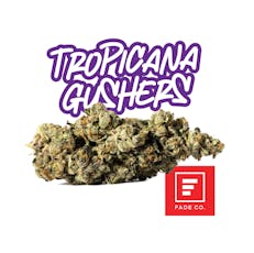 Tropicana Gushers | Smalls | 7g