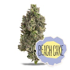 Beach Cake Untrimmed Small Buds