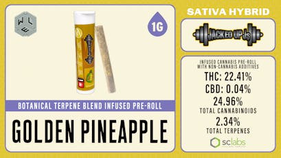 WLE | Jacked Up J's Golden Pineapple | Botanical Terpene Blend Infused Pre-Roll 1PK (1g) Sativa Hybrid