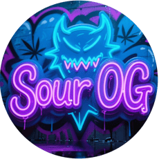 Sour OG - 1oz Top Shelf Flower