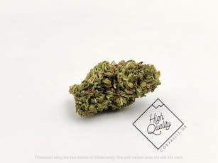 Pineapple JGR - East Fork Cultivars (C)