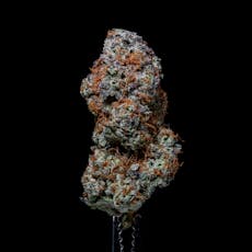 Gud Gardens Mega Peaches *Indoor*