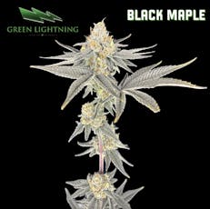 Green Lightning | Black Maple | Flower | 3.5g