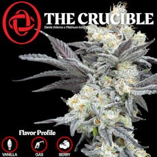 Obseshn - THE CRUCIBLE - Top Shelf Flower