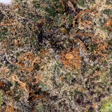 Lion's Breath (3.5g Flower)