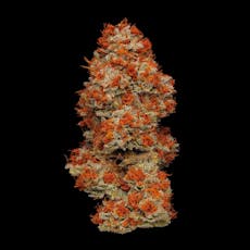 Dirty White Girls 3.5g - Plaid Jacket