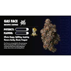 Seed Junky | Gas Face - 3.5g Flower