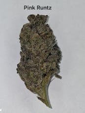 Pink Runtz A Bud/Top Shelf-Greenway Farm