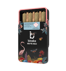 binske Infused Pre-Roll 7 Pack 0.5 Grams - Mint Stroll