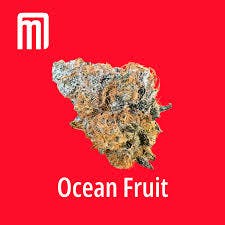 Ocean Fruit - 3.5g - Moment
