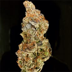 Flower: Key Lime Pie