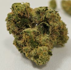Citrus Blossoms | High Supply | Bud | 7g