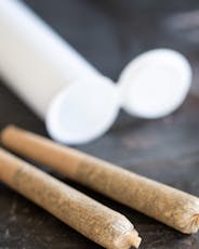 Gush Mintz Twofers (2 half-gram pre-rolls)