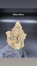 Falcon Berry - Flower - Hybrid