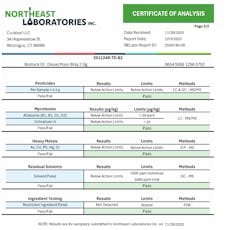 Select Elite Briq All In One Disposable Vape 2g Diesel Moon (H) 01280