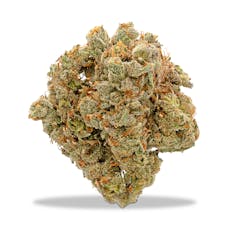 Kaprikorn - Jack Herer