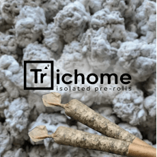 Trichome PR 2pk Isolated June Plum 1g