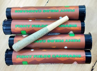 Apples and Bananas - LIVE SUGAR- Infused Preroll - Fishy Fields