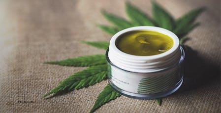 1:1 Healing Salve Arnica Ginger - THC:335.44mg(2oz) - Lionheart Cannabis