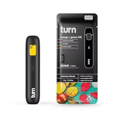 Turn | AIO 1g | I | Mango x Guava