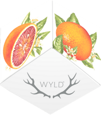 Wyld 100mg Blood Orange 1:1 CBC Gummies