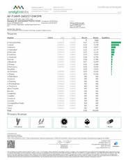 Dogwalkers 1g Big Dog Animal Face (I) 01423