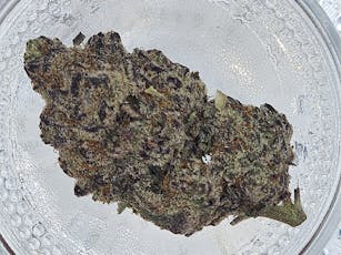 Flower - The Toad (H/I) - Juice Joints