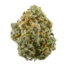 Gold Leaf: Secret Stash - Blue Nerds (14G)