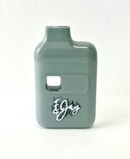 Dubz Garden | Ejay | Runtz (H) Disposable Vape | 1g
