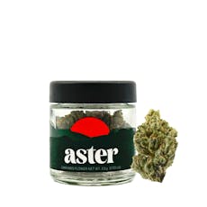 Cheetah Piss | Flower | Hybrid | Eighth (3.5g) | Aster