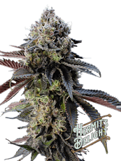 Hash Burger (IH) - Hermit's Delight - 7g Smalls Pre-Packaged T1