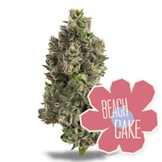 (DC) Cherry Limeade Cake 28g