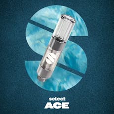 ACE Durban Fizz Cartridge | 1g