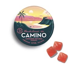 Gummies - Watermelon Lemonade - 100mg