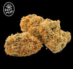Garlic Knots | Flower | 7G