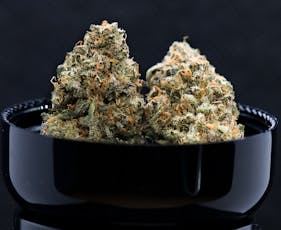 MAC1 | 7g Flower | Noble Valley