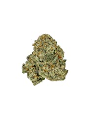 Indoor CATSKILL CANDY