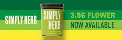 Citrus Sour | Flower